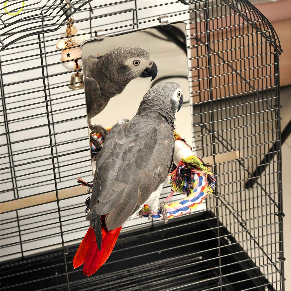 Colorday 9" Bird Mirror with Rope Perch, Bird Swing, Parrot Cage Toys for Parakeet African Grey