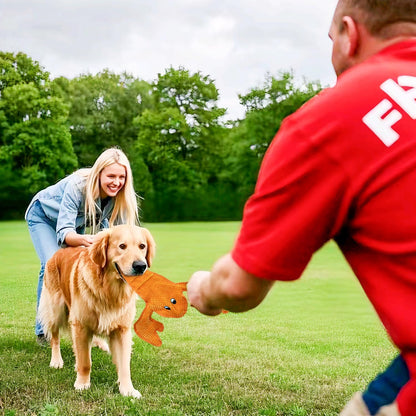 Squeaky Dog Toy No Stuffed Dog Toys,Lobster Puppy Toys for Small Medium Large Breed pups Teething