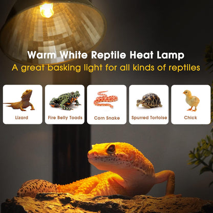 Reptile Heat Lamp, Briignite UVA Basking Light for Reptiles 50W, G9 Halogen Heat Bulb & Dome