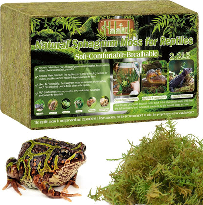 Halatool 2.2LB Natural Sphagnum Moss for Reptiles- 50QT Green Live Moss for Terrarium Plants Long