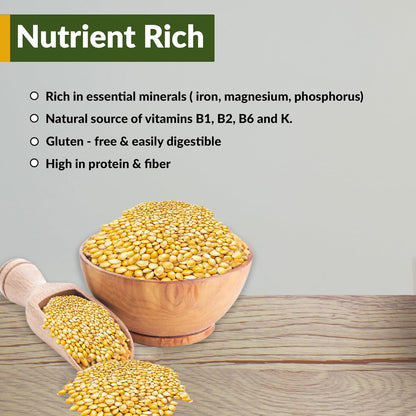 Wildlife Organic White Millet for Bird Feeding and Wildlife Bird attracting, Non-GMO and USA Grown