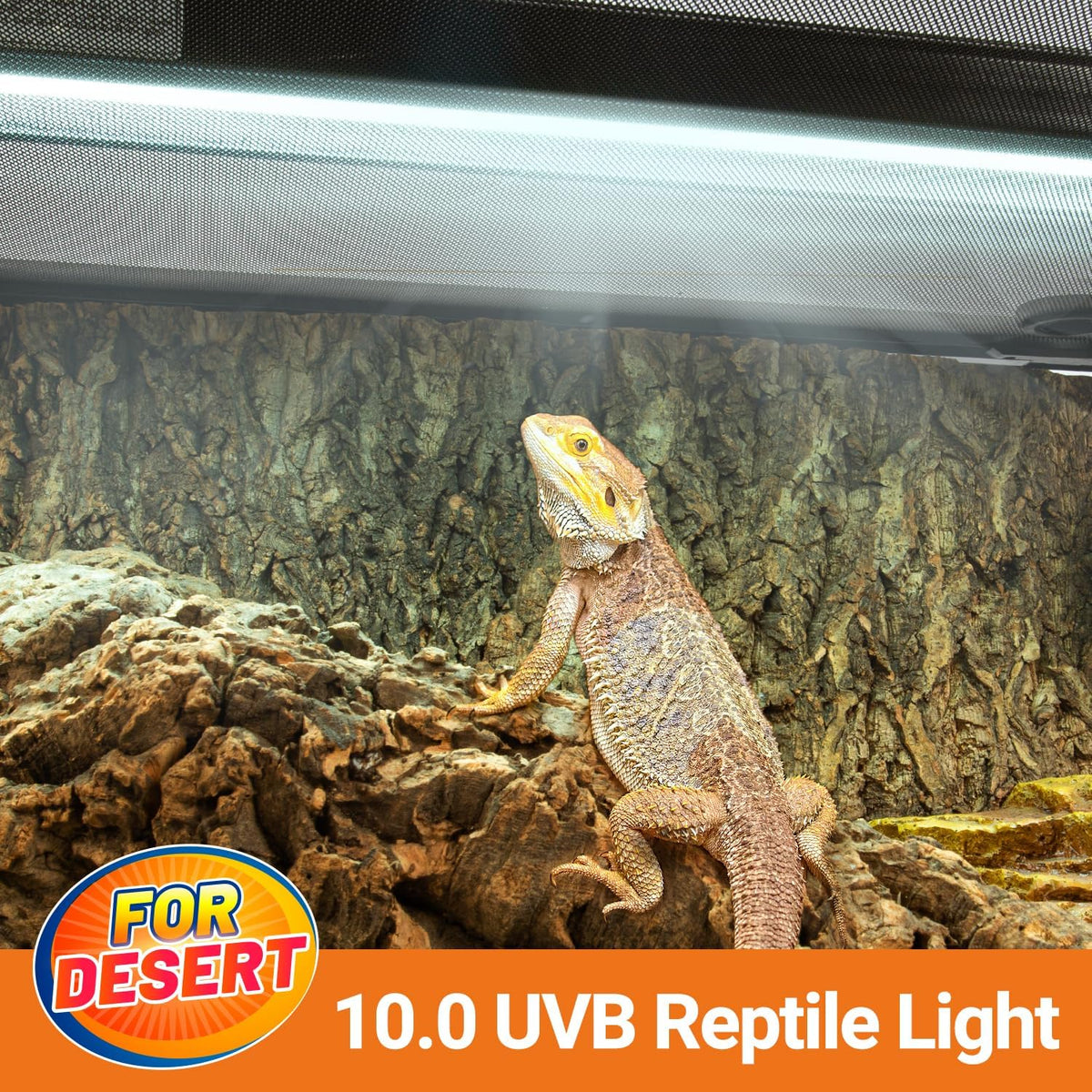 Oiibo T5 HO Reptile Light Fixture UVB Lighting Combo Kit, Terrarium Lamp Hood Light with UVB 10.0