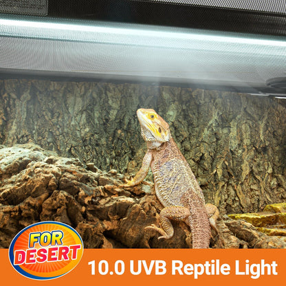 Oiibo T5 HO Reptile Light Fixture UVB Lighting Combo Kit, Terrarium Lamp Hood Light with UVB 10.0