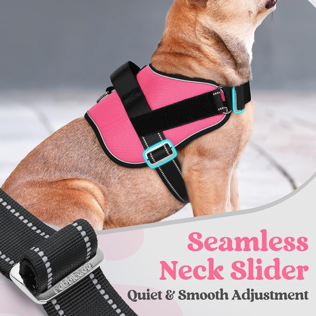 rabbitgoo Dog Harness for Small, Easy On Pet Vest with One Buckle, No Pull Adjustable Service