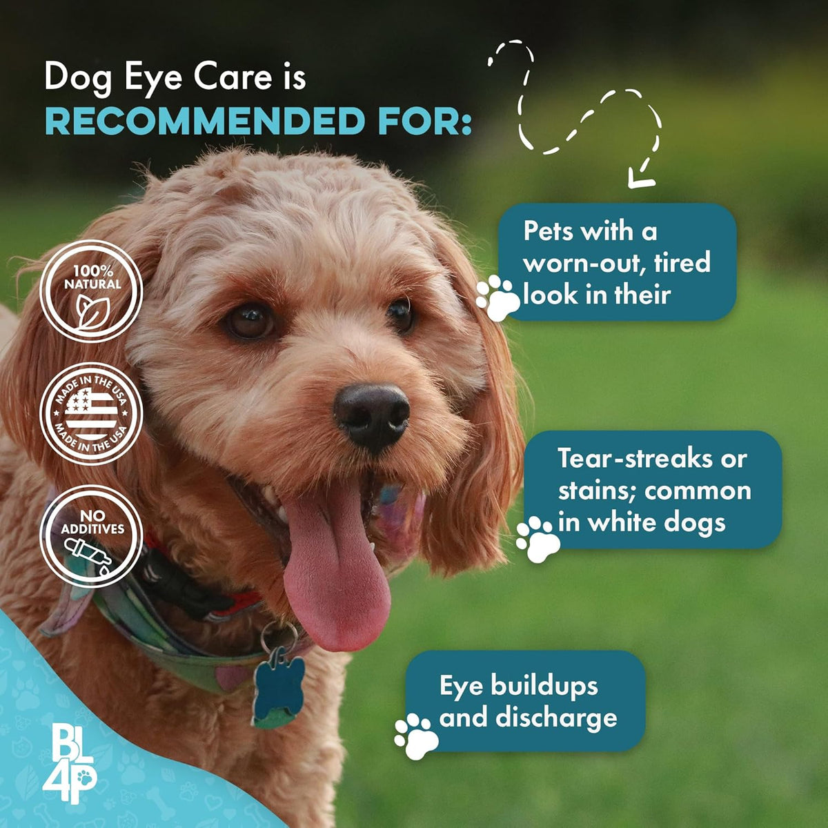 Dog Eye Care & Infection Treatment, Natural Dog Supplements for Conjunctivitis, Swelling, Dry Eyes
