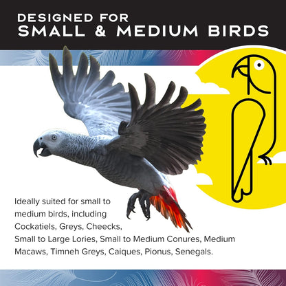Featherland Paradise Bird Cage Toy, Bird Toys for Parrots, Parakeets, Small and Medium Birds