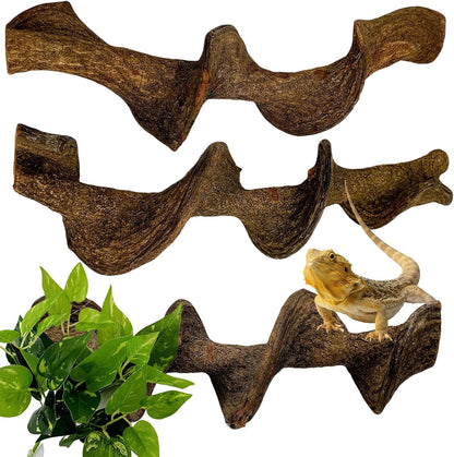BNOSDM 3Pcs Reptile Climbing Branches Decor,Snake Climbing Branch,Gecko Climb Wood,Lizard Forest