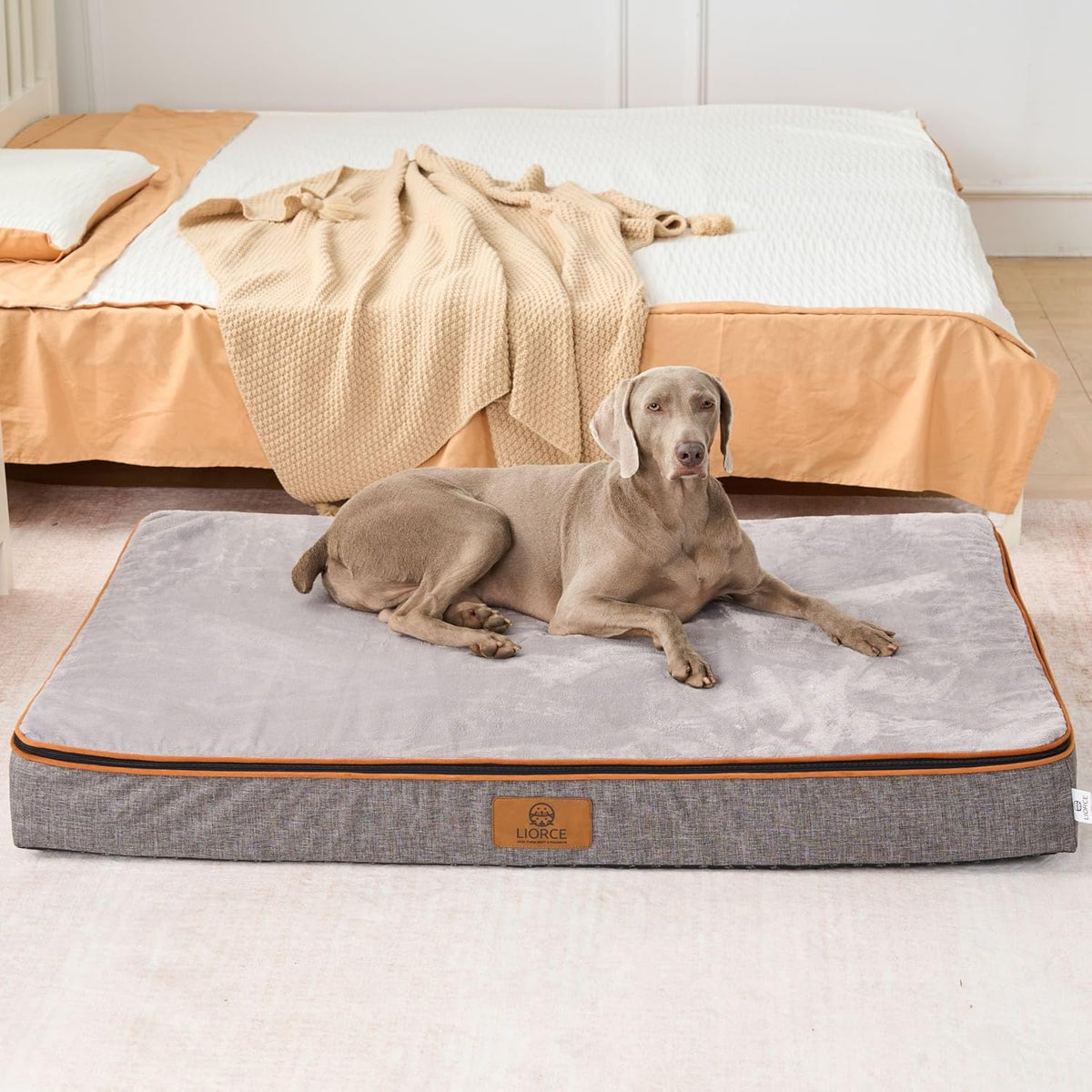 Orthopedic Memory Foam Giant Dog Bed - 6" Thick Beds for Large Sized Dog - Waterproof Removable