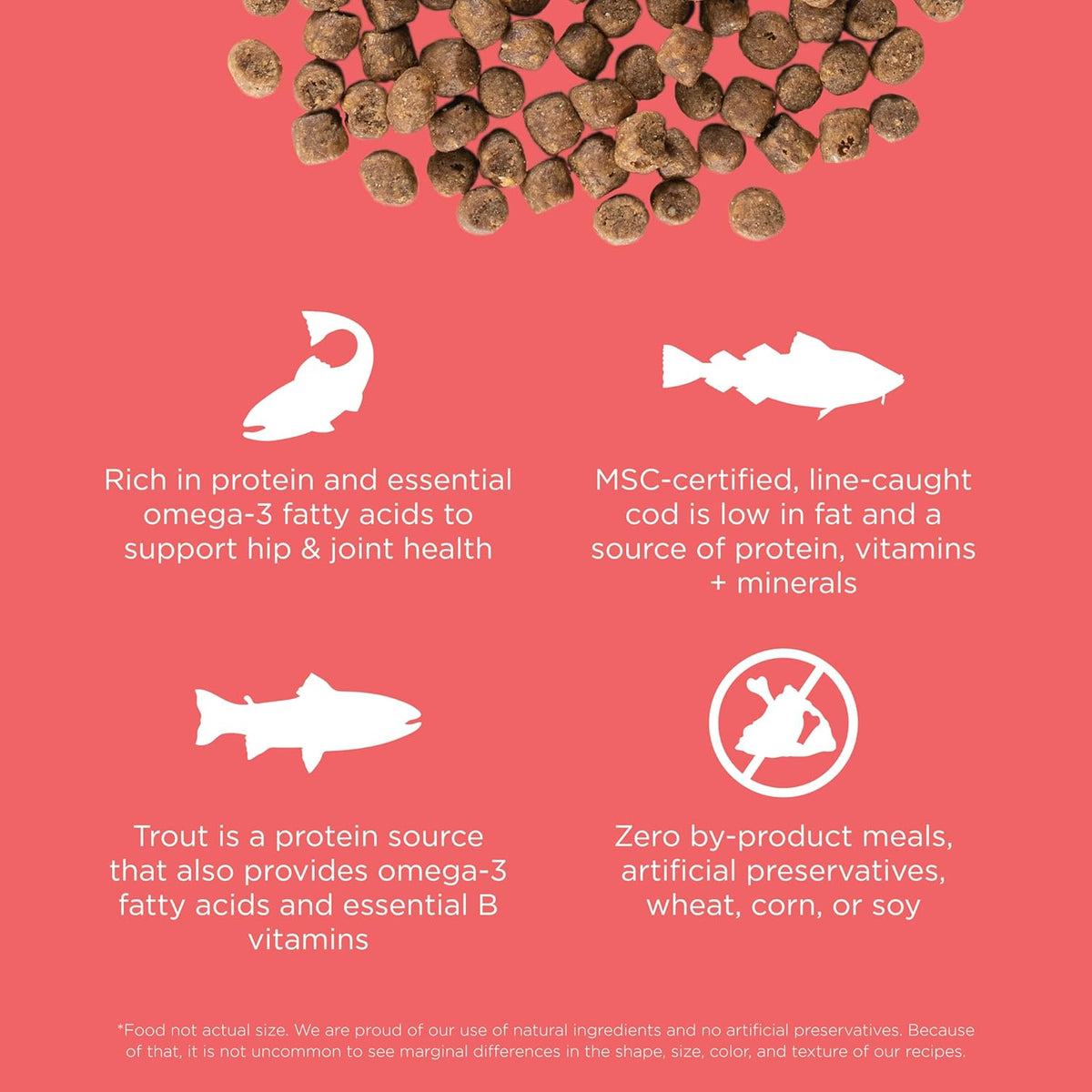 Go! Solutions Carnivore, Grain-Free, Protein Rich Dry Cat Food, Salmon and Cod Recipe, 8 lb Bag