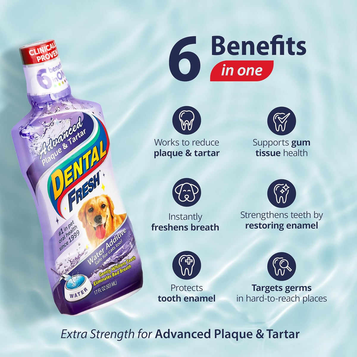 Dental Fresh Advanced Plaque and Tartar Water Additive, 17oz – Dog Teeth Cleaning Formula to