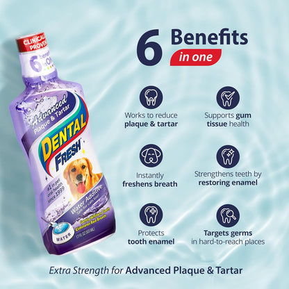 Dental Fresh Advanced Plaque and Tartar Water Additive, 17oz – Dog Teeth Cleaning Formula to
