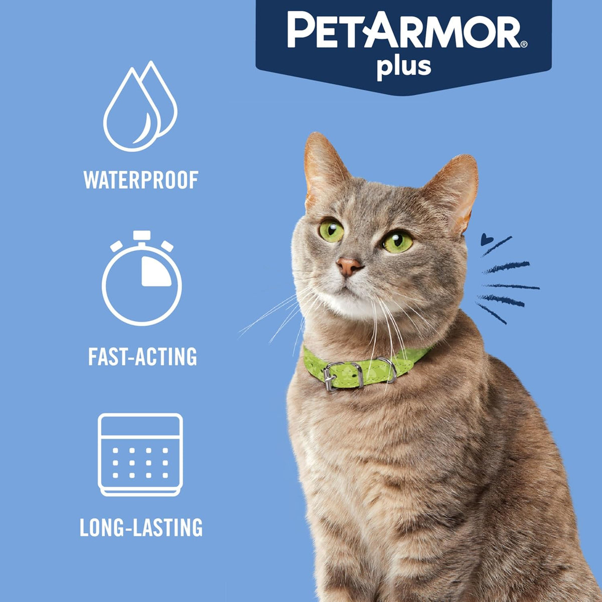 PetArmor Plus Flea and Tick Prevention for Cats over 1.5 lbs, Cat Flea and Tick Treatment, 6 Doses