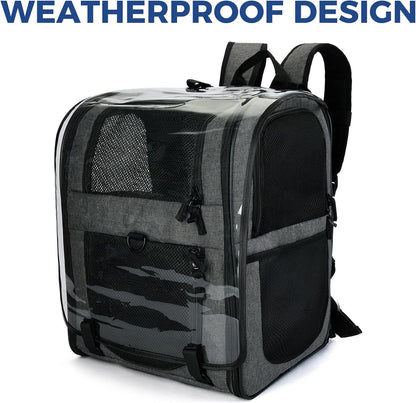 Apollo Walker Pet Carrier Backpack for Large/Small Cats and Dogs, Puppies, Safety Features and