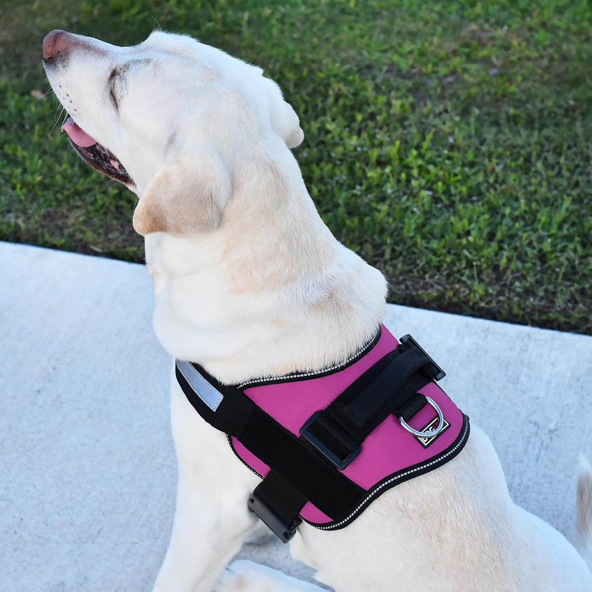 Dogline Dog Harness, Reflective No-Pull Adjustable Vest with Handle, Breathable No-Choke Harness