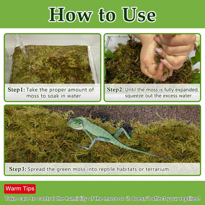 Halatool 9OZ Natural Sphagnum Moss for Reptiles- 14QT Green Live Moss for Terrarium Plants Long