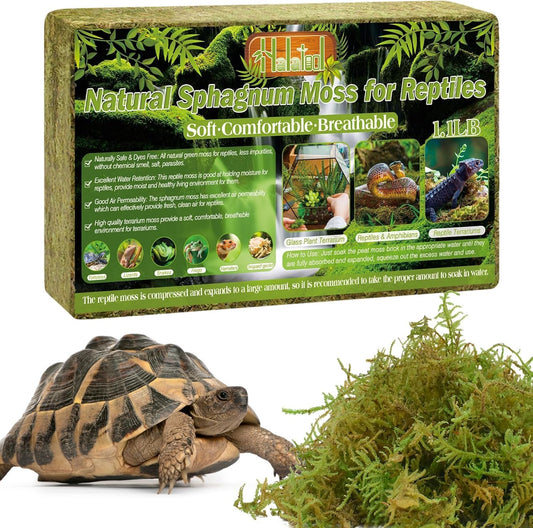 Halatool 1.1LB Natural Sphagnum Moss for Reptiles- 25QT Green Live Moss for Terrarium Plants Long