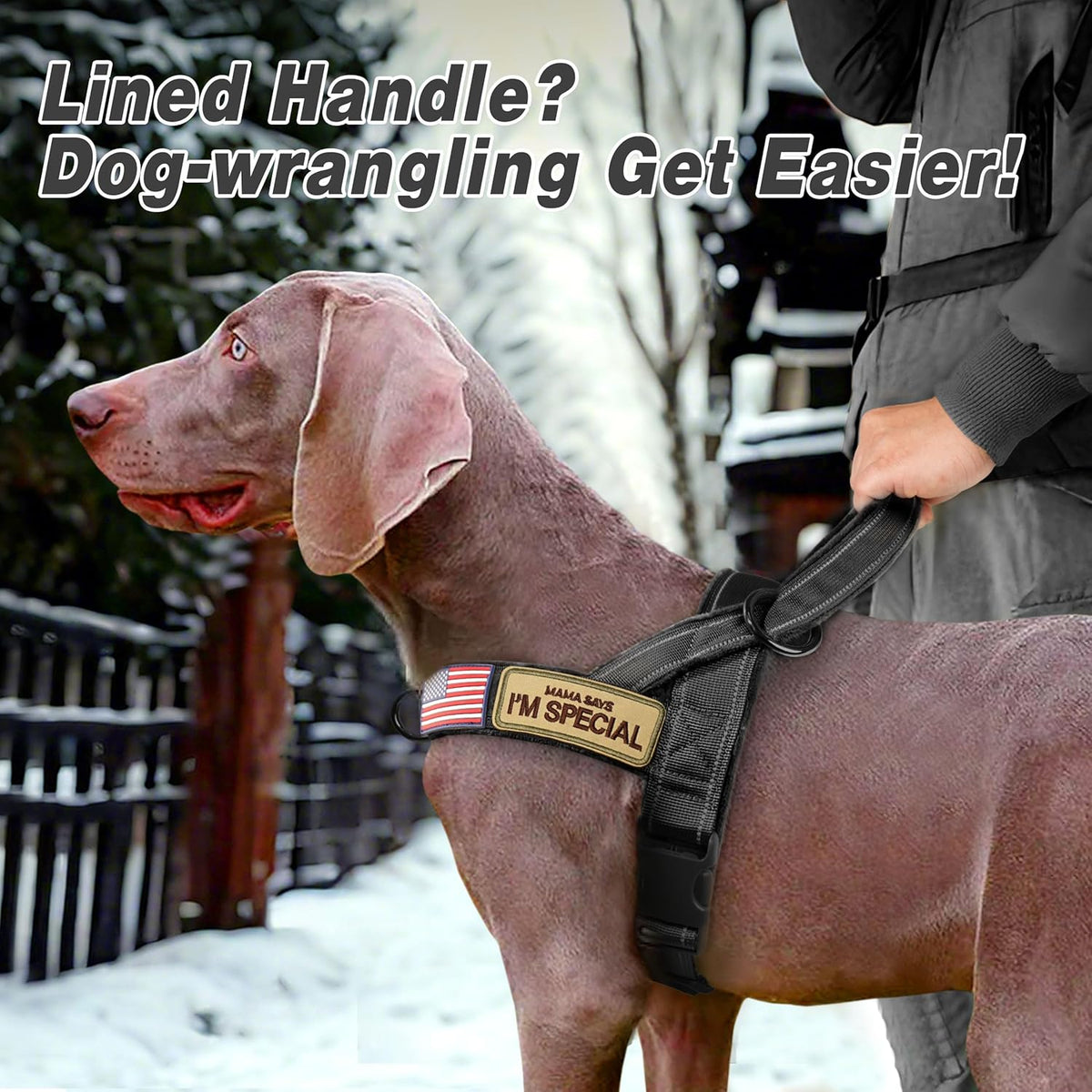 Forestpaw No Pull Dog Harness - Soft Flannel Padded Tactical Dog Vest Harness with Quick Release