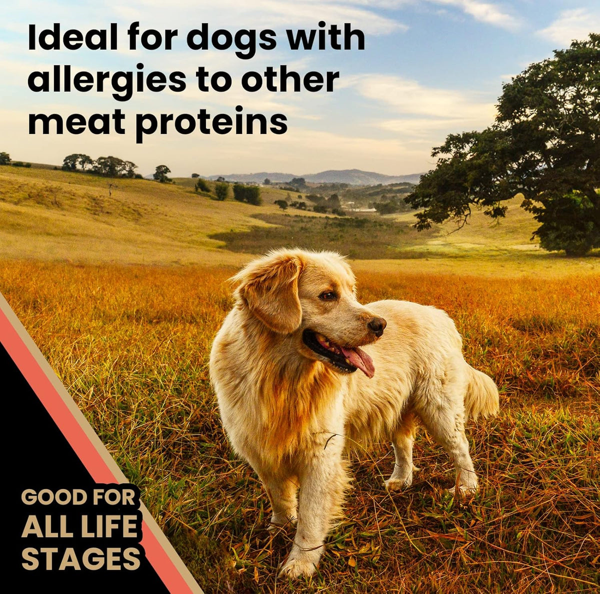 VICTOR Super Premium Dog Food – Grain Free Yukon River Canine – Supports Immune & Digestive Health