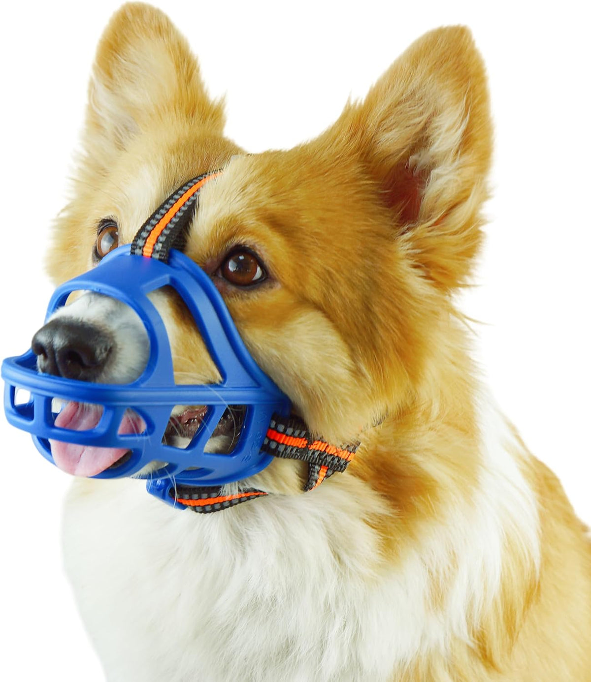 Dog Muzzle, Basket Muzzle for Small Medium Large Dogs, Anti-Biting and Chewing, Lightweight &