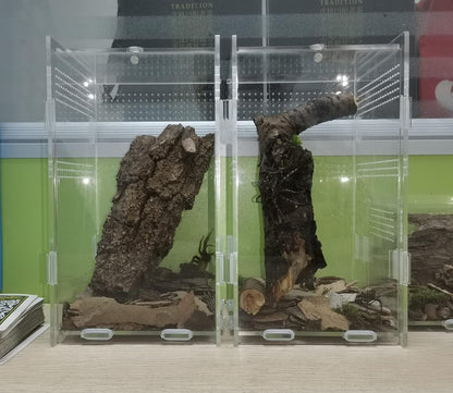 Magnetic Acrylic Case, micro habitat small Tarantula Enclosure enclosure for arboreal Tarantula