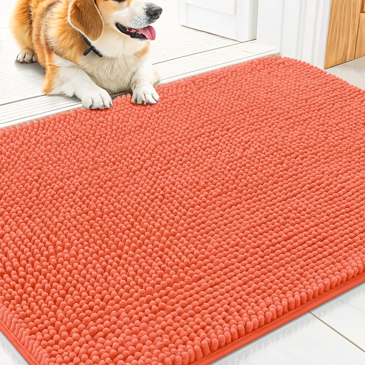 Smiry Dog Door Mat for Muddy Paws 30x20, Absorbs Moisture and Dirt Doormat, Non-Slip Washable Quick