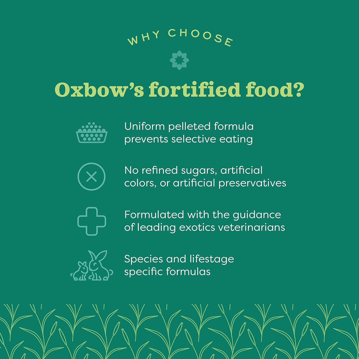Oxbow Essentials Rabbit Food, Senior, Made Alfalfa for Rabbit, Vitamin & Mineral Rich Pet Pellets