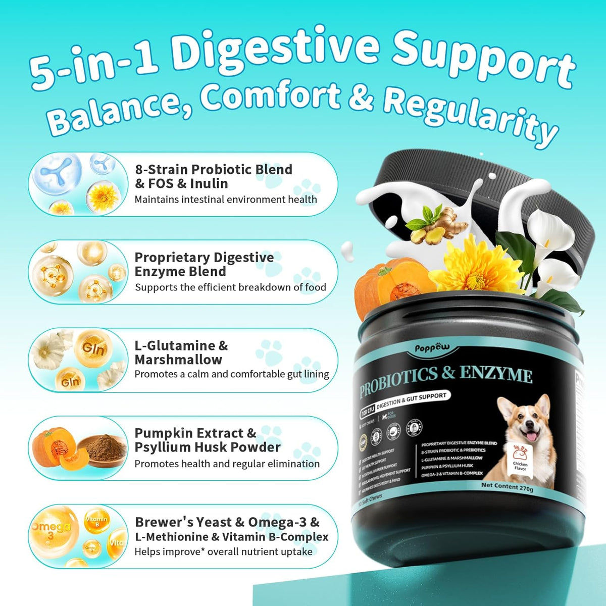 Probiotics for Dogs, Digestive Enzymes for Gut Health Support, Dog Fiber Supplement with Pumpkin