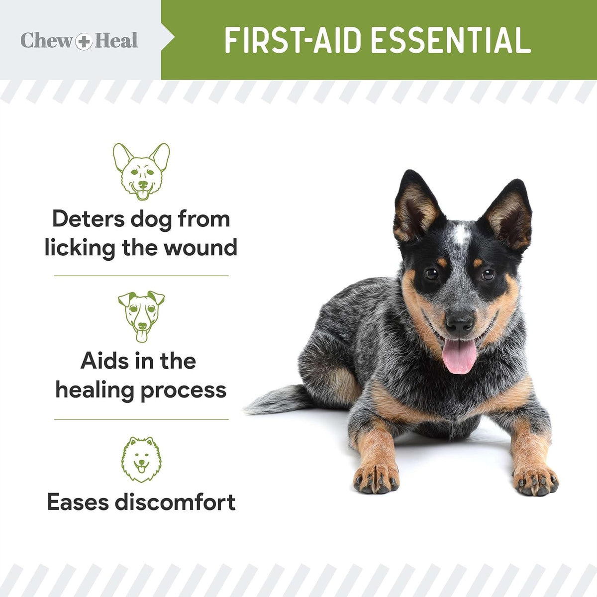 Pet Liquid Bandage for Dogs - 8 oz Spray with Aloe - Wound Care for Dogs Including Cuts, Scrapes