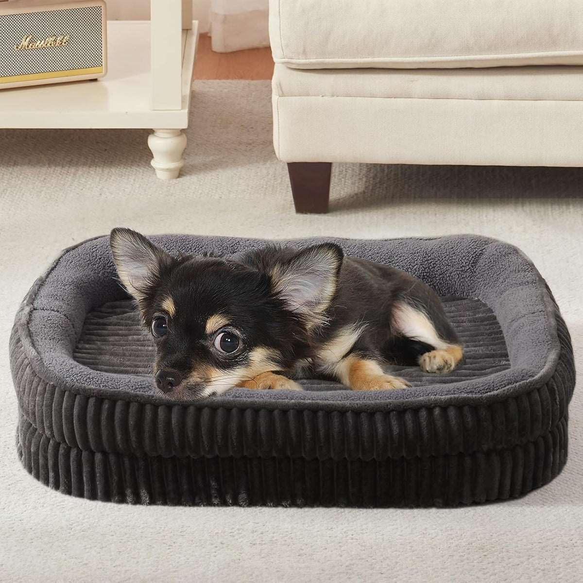 Orthopedic Dog Bed for Puppy,Extra Small Dogs Breeds,Oval Cat Bed,High Density Egg Crate Foam Dog