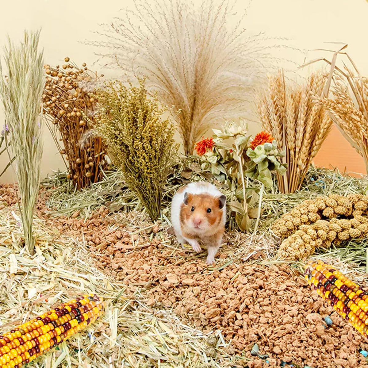 Natural Ear of Grain Flower&Herb Bedding Mate Habitat Decor, Adding Fun Hamster Accessories for