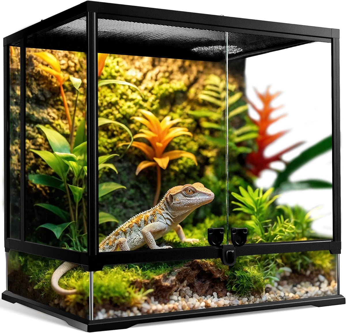 43 Gallon Professional Glass Terrarium 24"x18"x24" Durable Reptile Habitat Tank with Heat Resistant