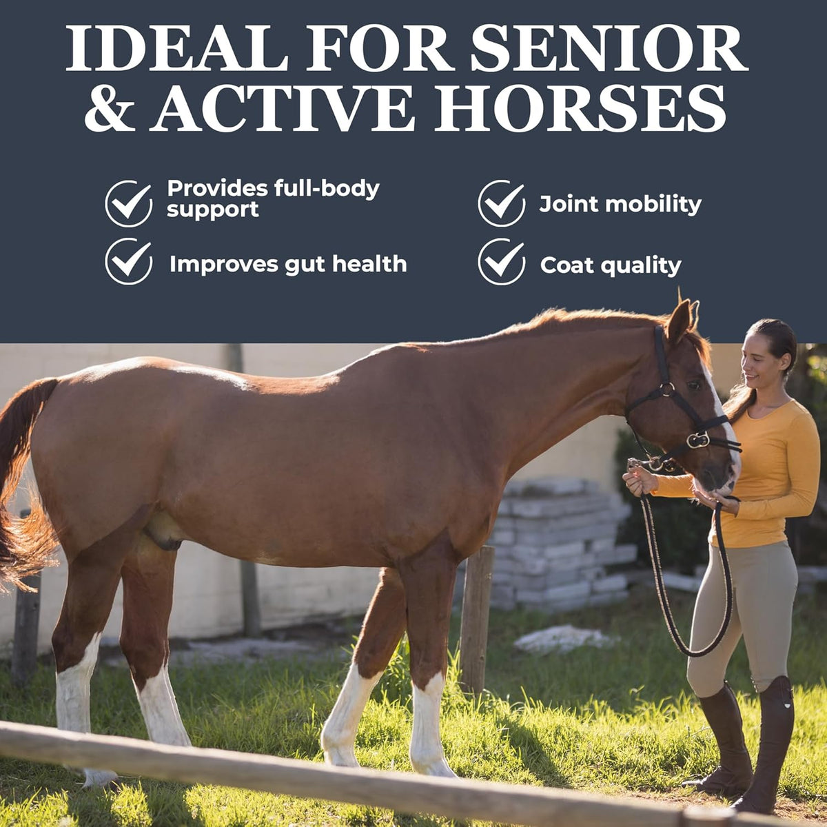 Equerry's Combined RX 4 Way | Equine Nutritional Support | Complete Formula | Digestive and Joint