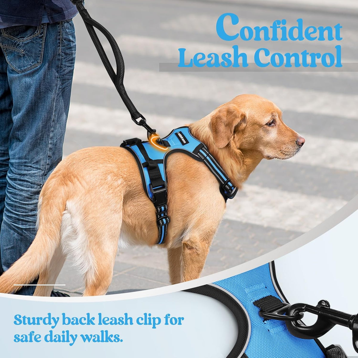 rabbitgoo Dog Harness No Pull with 2 Leash Clips, Adjustable Soft Padded, Reflective Oxford No