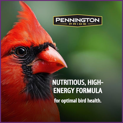 Pennington Pride Songbird Nut & Fruit Blend, Wild Bird Seed for Outside Feeders, Advanced Nutrition