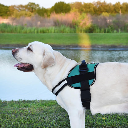 Dogline Dog Harness, Reflective No-Pull Adjustable Vest with Handle for Walking, Training