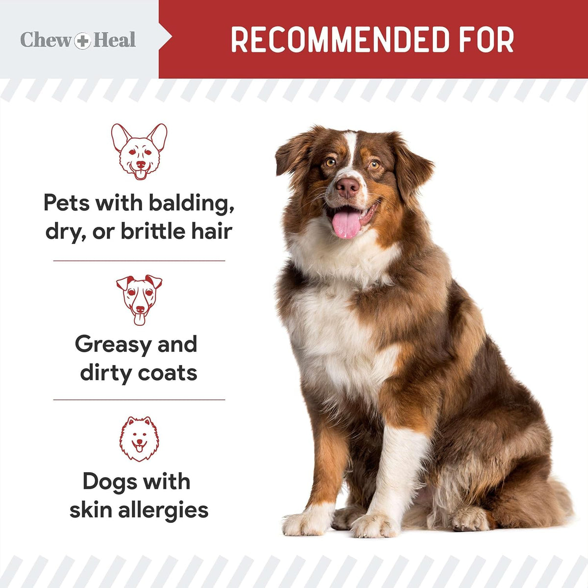 Omega for Dogs - 180 Delicious Soft Chews - Salmon Oil Treats for Skin and Coat, Itch Relief - Fish