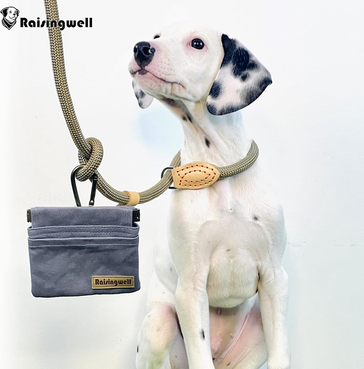 Dog Treat Pouch, Small Cotton Pocket Sized Training Holder, Hand Free Walking Fanny Bag with