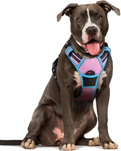 rabbitgoo Dog Harness No Pull with 2 Leash Clips, Adjustable Soft Padded, Reflective Oxford No