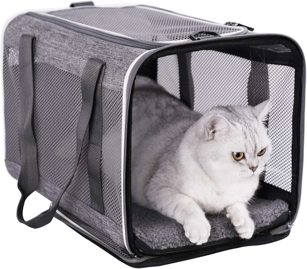 petisfam Soft Pet Carrier Bag for Cats and Puppy Under 20 lbs. Sturdy, Safe, Comfortable and