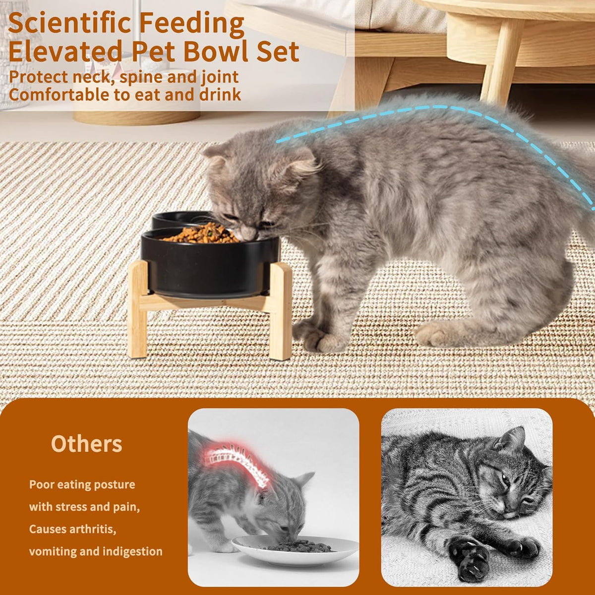 Elevated Ceramic Dog Bowl Set - Raised Feeding Bowls with Non-Slip Bamboo Stand - Small Pet Dishes