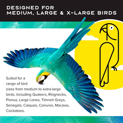 Featherland Paradise - Hanging Buffet Ball - Interactive Bird Toy and Treat Dispenser - Creative