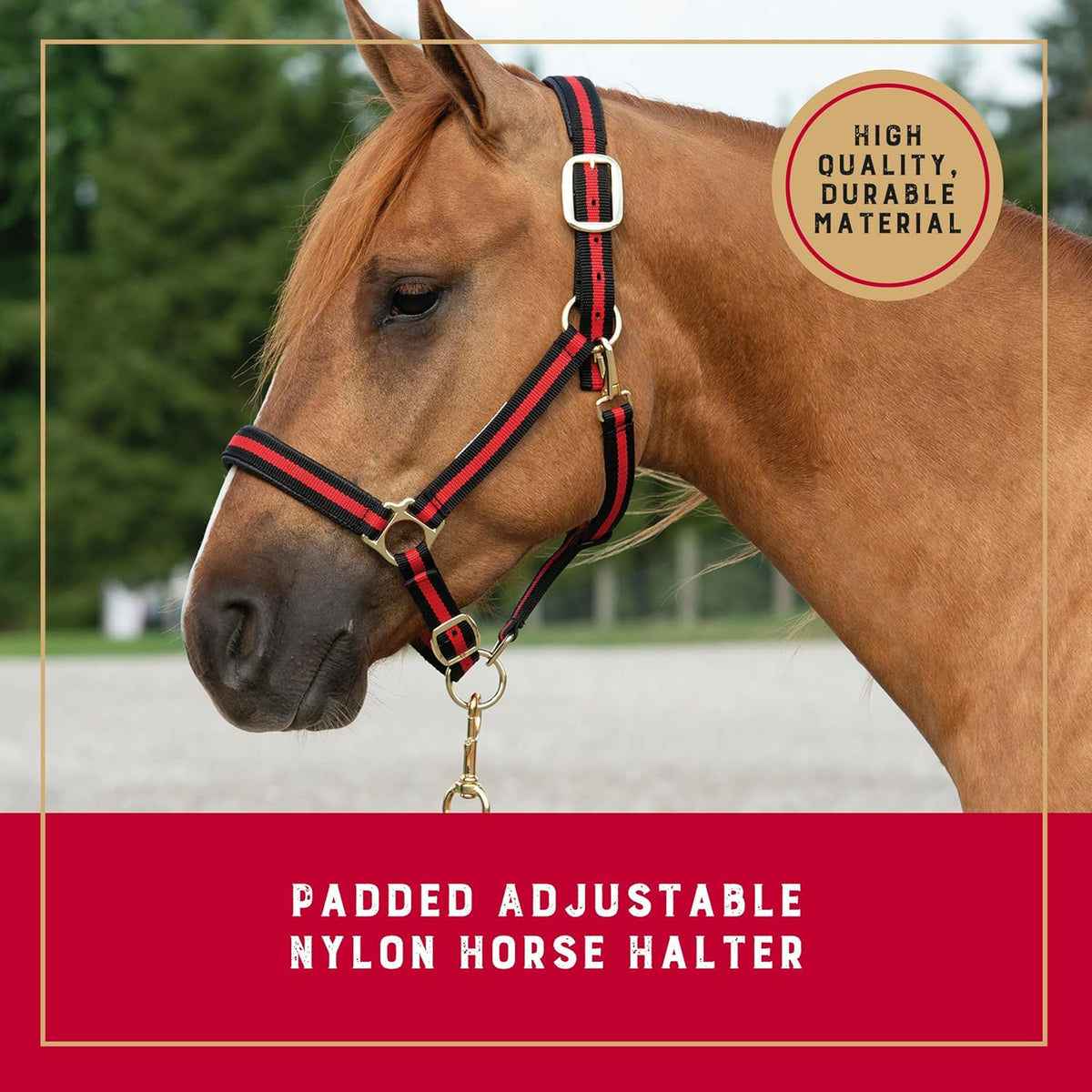 Weaver Leather Nylon Horse Halter, Padded and Adjustable, Chin and Throat Snap Hook Halters for