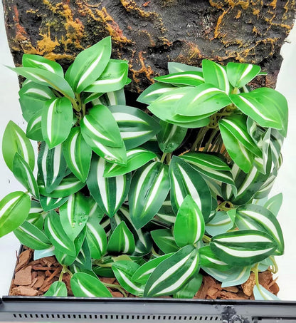 Reptile Plants for Terrarium Decor, Amphibian Habitat Decor, Snake Tank Accessories, Artificial