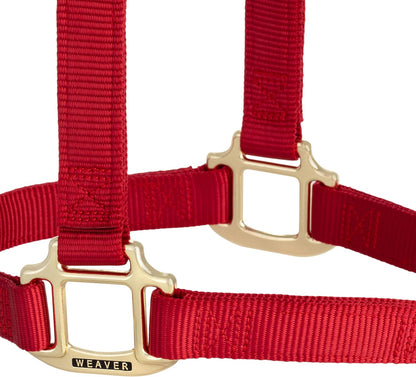Weaver Equine Nylon Horse Halter, Triple-Ply Cheek Design, Original Non Adjustable Halters for