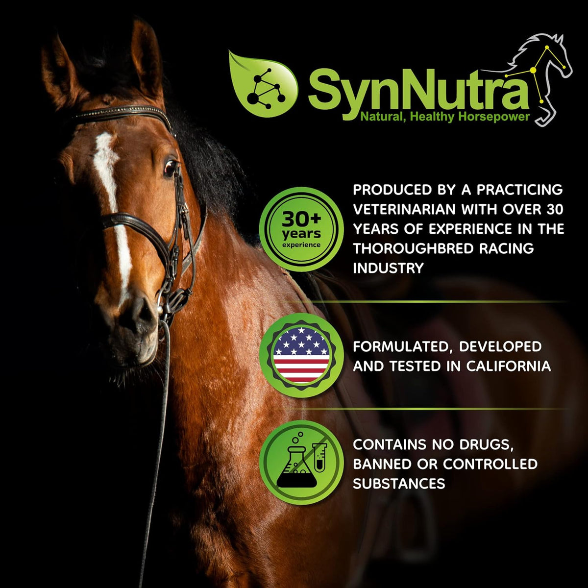 SynChill Oral Horse Calming Gel, 100% Natural & Nutritional Supplement, Lab Proven Results