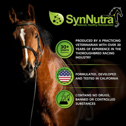 SynChill Oral Horse Calming Gel, 100% Natural & Nutritional Supplement, Lab Proven Results