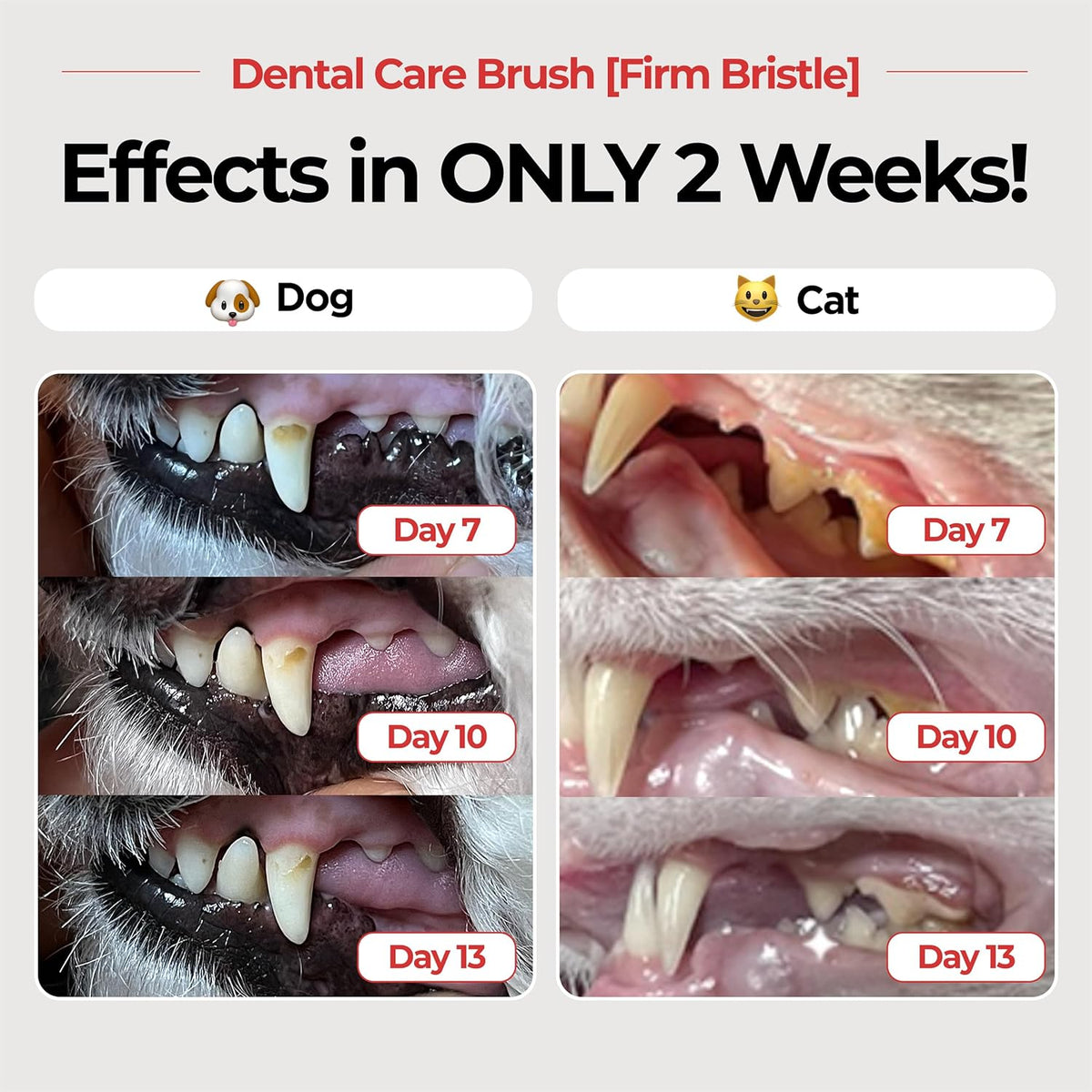 JAYU PET Dental Care Brush (Firm Bristles) 1ea - Resilient Dog Toothbrush, Cat Toothbrush for