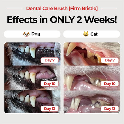JAYU PET Dental Care Brush (Firm Bristles) 3ea - Resilient Dog Toothbrush, Cat Toothbrush for
