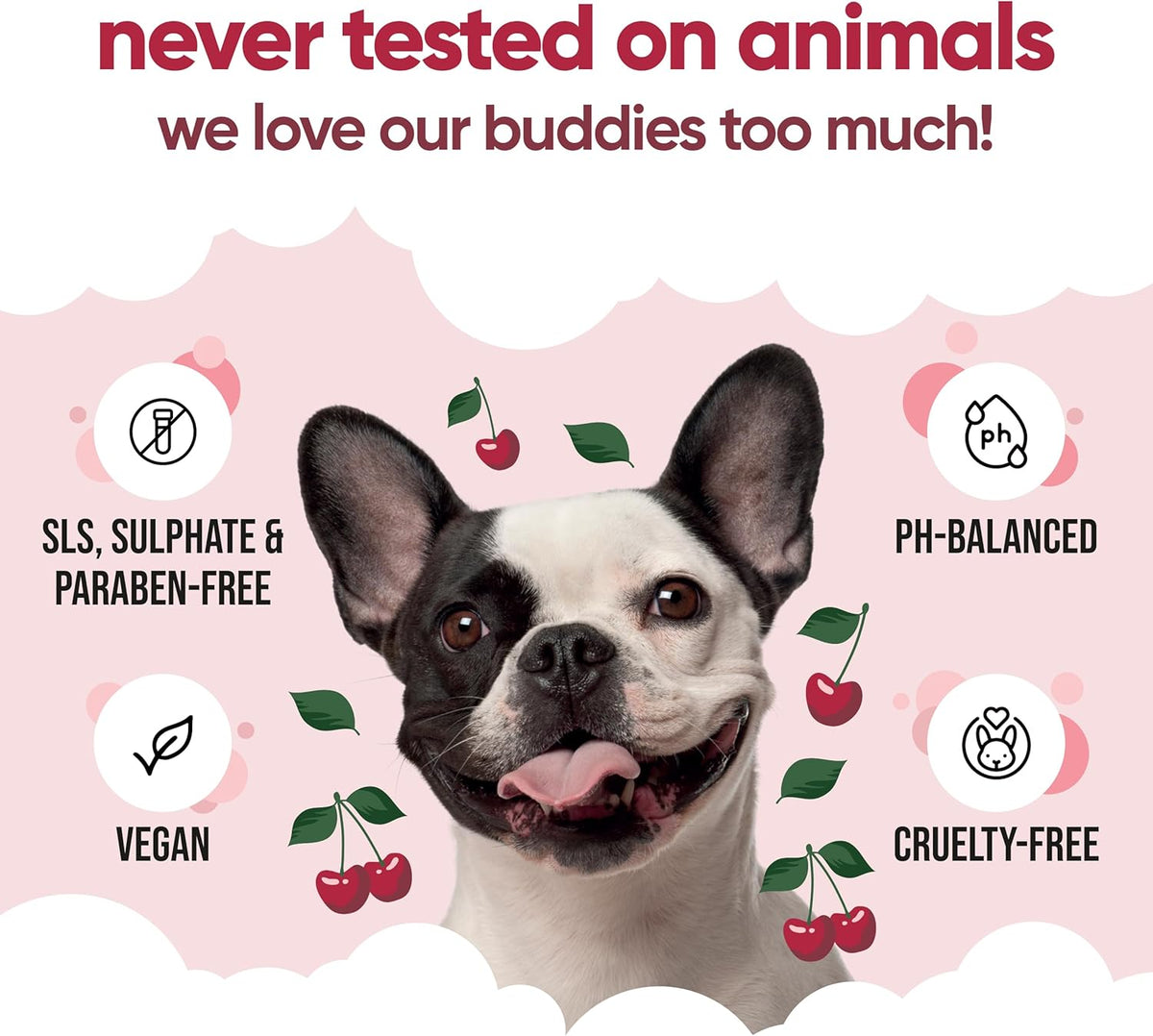 Black Cherry Dog Conditioner (169.07oz) Made with Aloe Vera, Argan Oil & Pro Vitamin B5 | Detangle