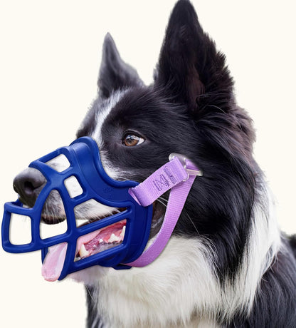 Basket Muzzle Allows Panting Drinking - Anti Biting Chewing, Suitable for Grooming Trimming